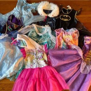 Mixed Lot 11 Princess gowns Disney Frozen play dress up pretend Halloween